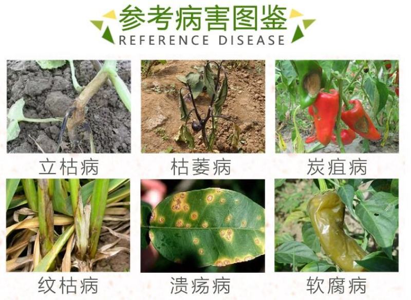 大清园25%络氨铜纹枯病立枯病枯萎病细菌真菌果园清园