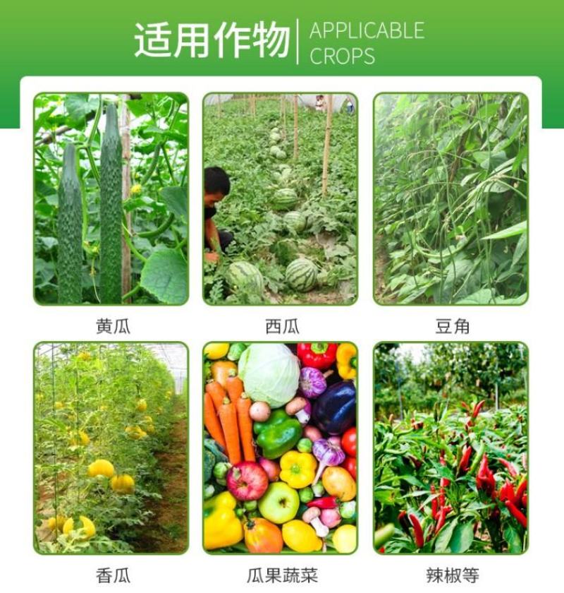溃疮净溃疡灵络铜柠铜溃疡病枯萎病姜瘟病根腐病杀菌剂