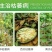 溃疮净溃疡灵络铜柠铜溃疡病枯萎病姜瘟病根腐病杀菌剂