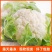 [松花菜]菜花花菜有机花菜原产地发货欢迎来电采购