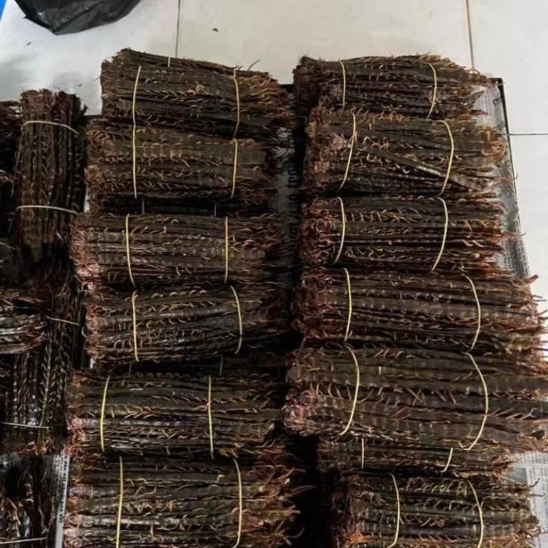 蜈蚣，红头蜈蚣，药用蜈蚣，中药材，炮酒，昆虫药材