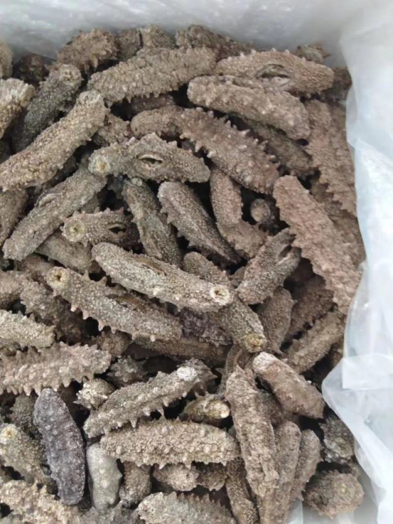 天然海参、即食海参、淡干海参，保质保量。视频选货