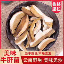 云南特产香格里拉纯野生美味牛肝菌煲汤食材干净