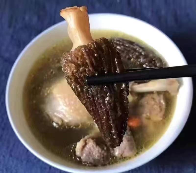 羊肚菌