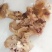 牛拐筋，全熟，都是筋，嚼筋十足，嘎嘎好吃