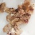 牛拐筋，全熟，都是筋，嚼筋十足，嘎嘎好吃