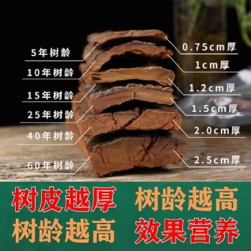 【卡宾达树皮】60年非洲安哥拉卡宾达树皮厚树皮包邮
