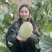 西州蜜瓜晓蜜25号直供电商市场赶集货一手货源