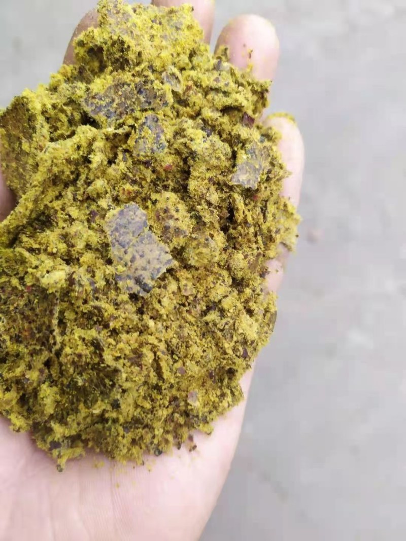 新疆棉籽饼牛羊好料养殖好帮手蛋白高育肥好