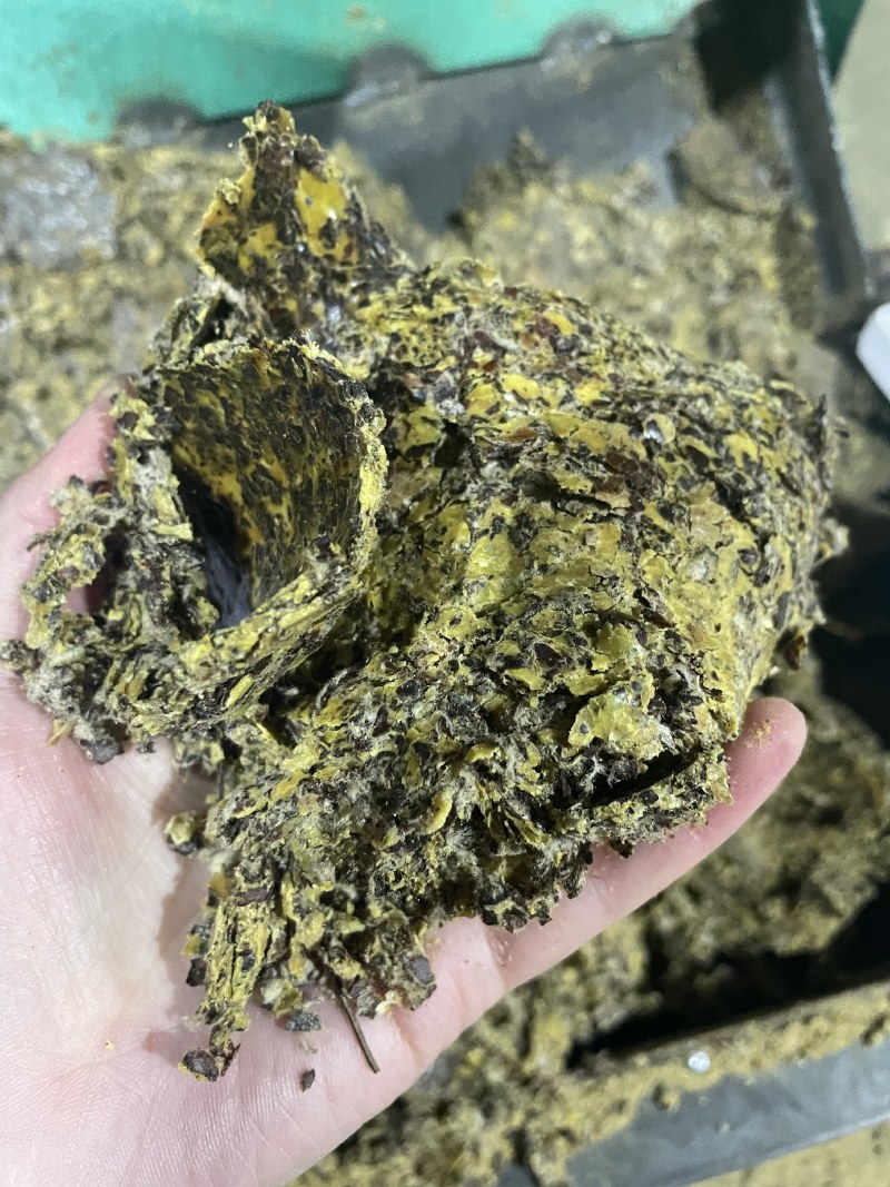 新疆棉籽饼牛羊好料养殖好帮手蛋白高育肥好
