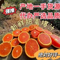 红心橙血橙果大皮薄味甜汁爆产地一手货源整车发货品质保证