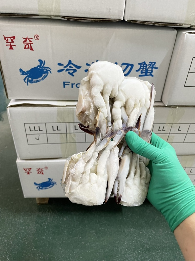 新鲜冷冻东港切蟹出口货切割蟹梭子蟹块高品质多种规格