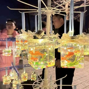 2026新项目摆地摊神器网红罐罐鱼公园夜市广场罐罐龟包邮