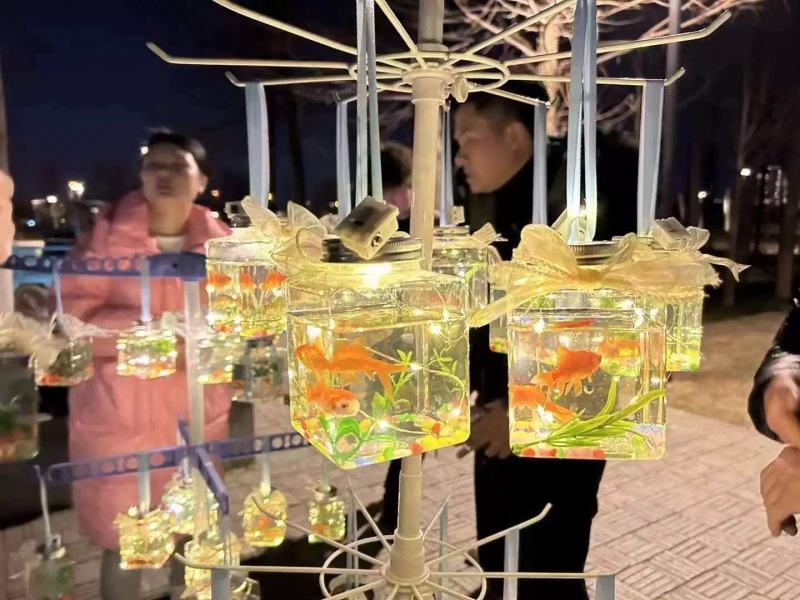 2026新项目摆地摊神器网红罐罐鱼公园夜市广场罐罐龟包邮