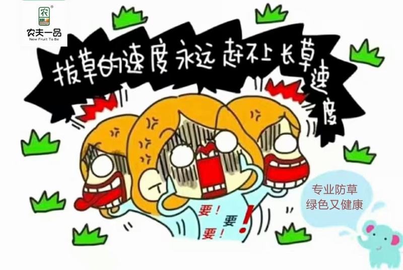 厂家库存，一批防草布优惠出