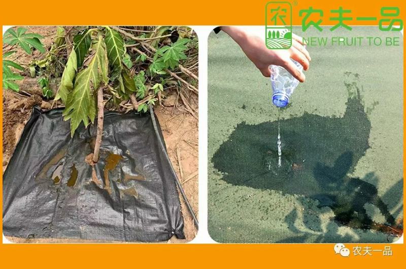 厂家库存，一批防草布优惠出