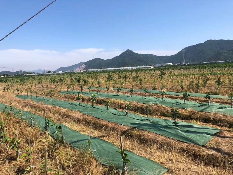 厂家库存，一批防草布优惠出