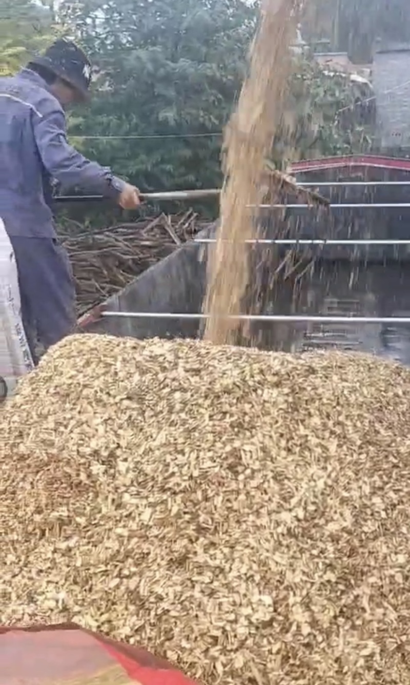 精品稻壳，袋装大量供货，保质保量，欢迎合作