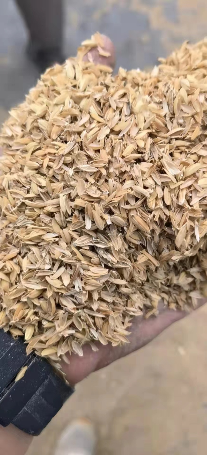 精品稻壳，袋装大量供货，保质保量，欢迎合作