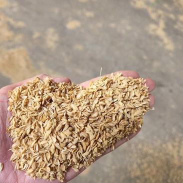 除尘稻壳厂家常年大量出售，量大优惠