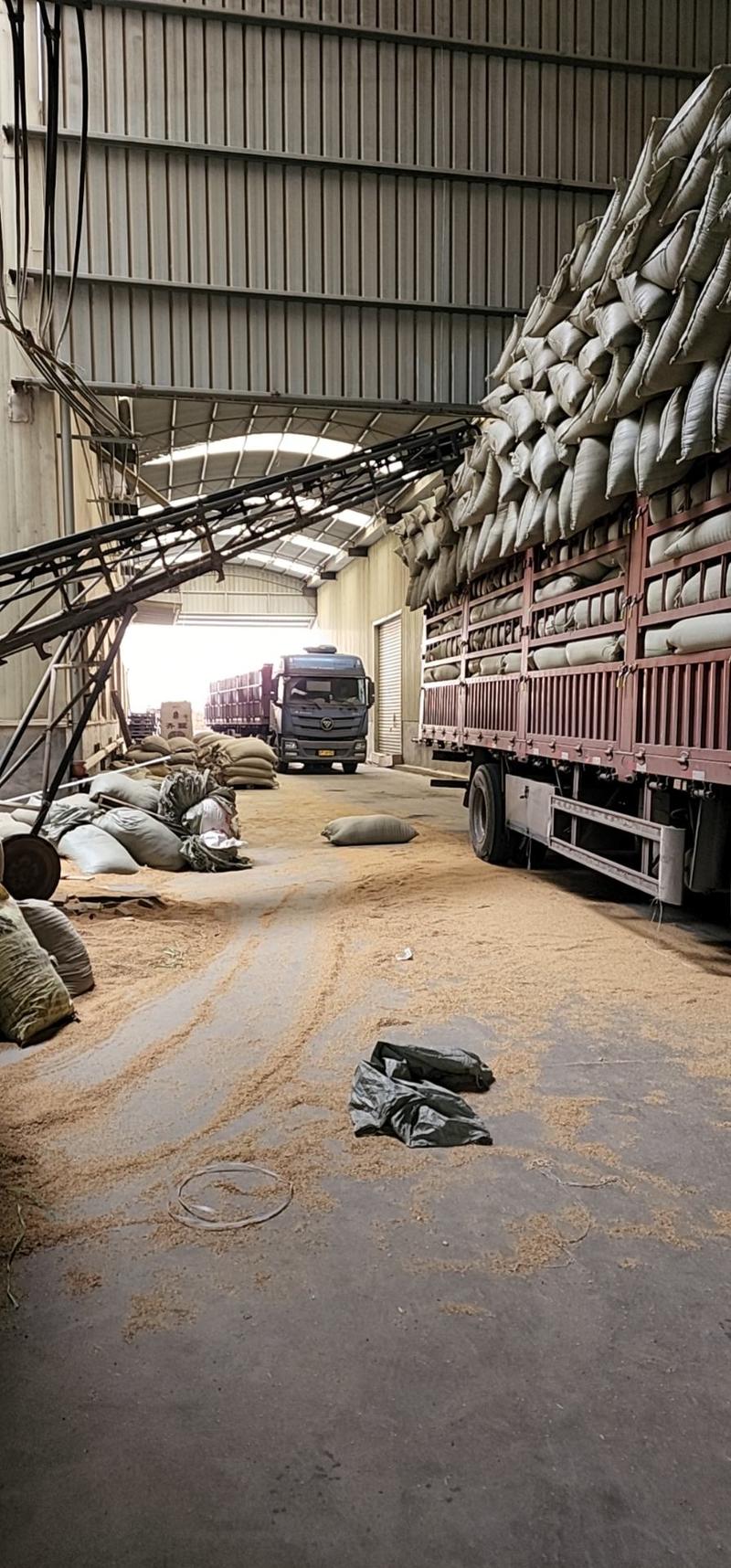 除尘稻壳厂家常年大量出售，量大优惠
