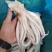海产品