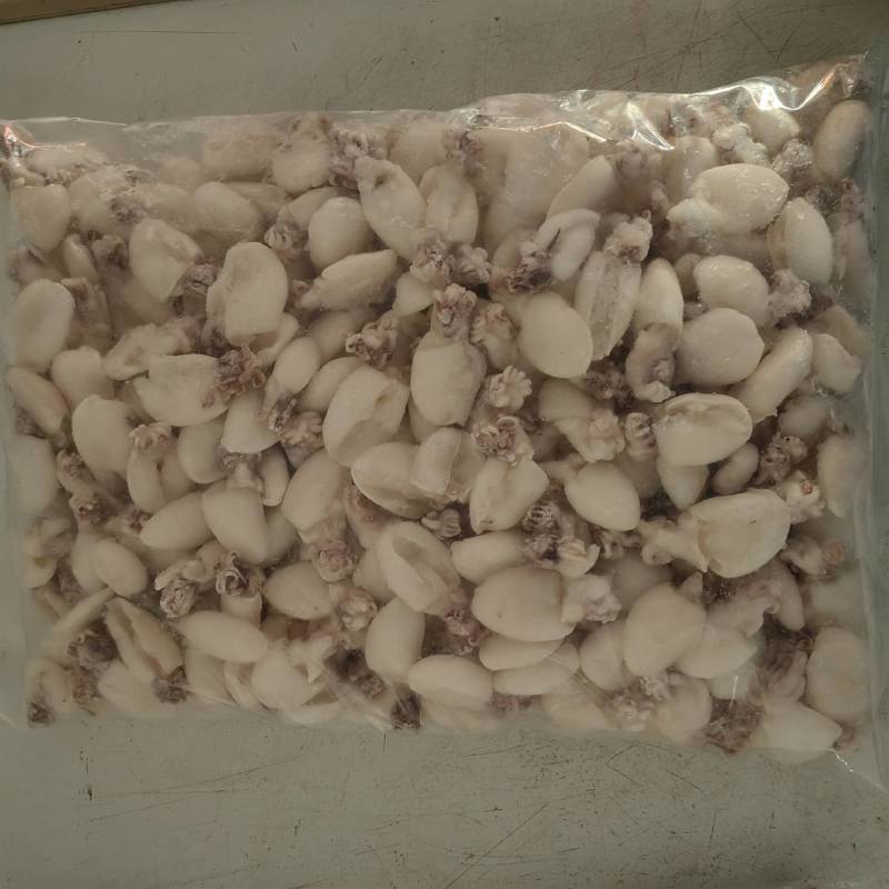 新鲜墨鱼仔冷冻整箱大目鱼仔小乌贼小章鱼八爪鱼海鲜火锅食材