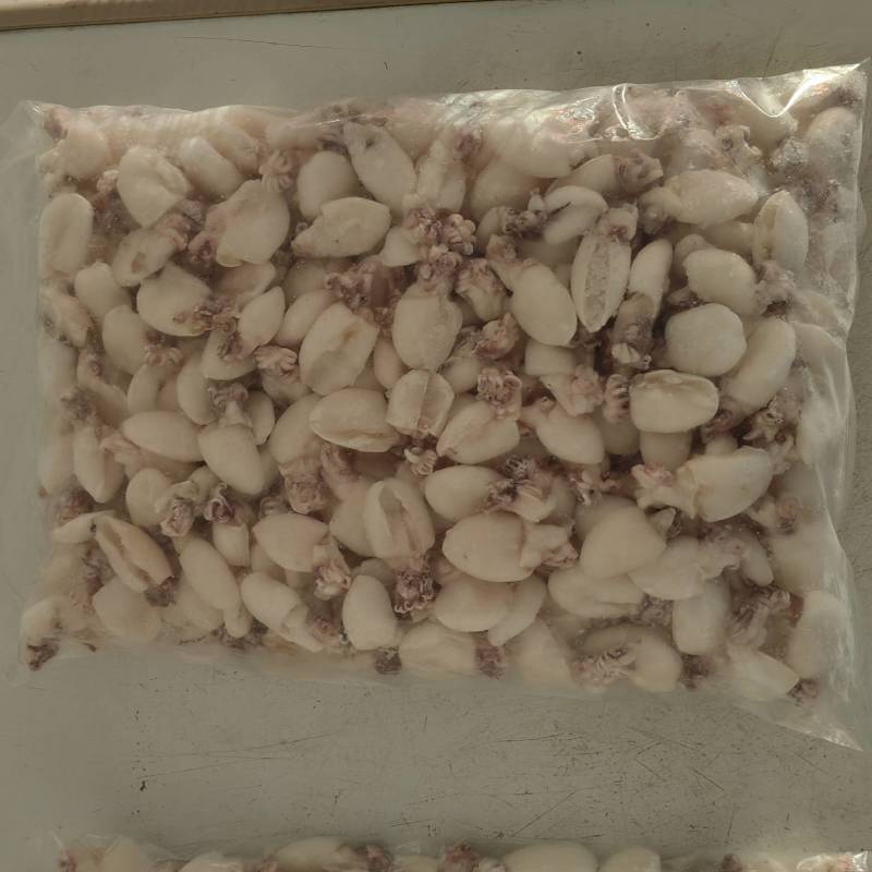 新鲜墨鱼仔冷冻整箱大目鱼仔小乌贼小章鱼八爪鱼海鲜火锅食材
