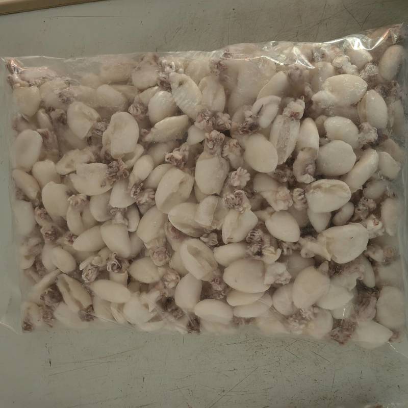 新鲜墨鱼仔冷冻整箱大目鱼仔小乌贼小章鱼八爪鱼海鲜火锅食材