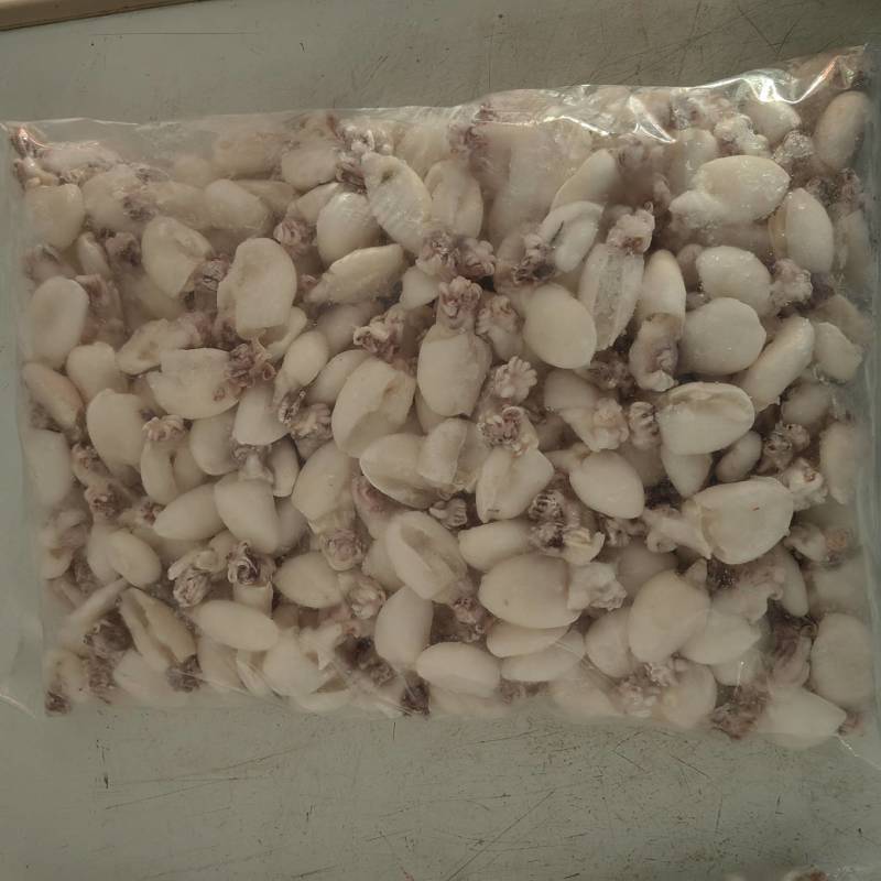 新鲜墨鱼仔冷冻整箱大目鱼仔小乌贼小章鱼八爪鱼海鲜火锅食材