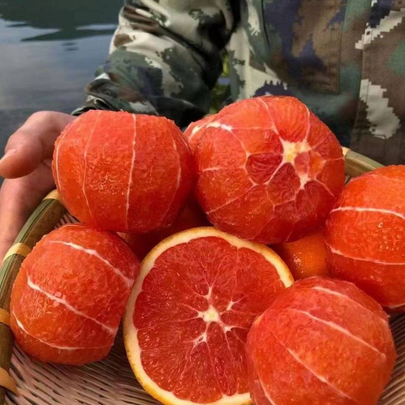 秭归中华红橙，血橙，果肉鲜红口感甜易化渣果园看货产地直采