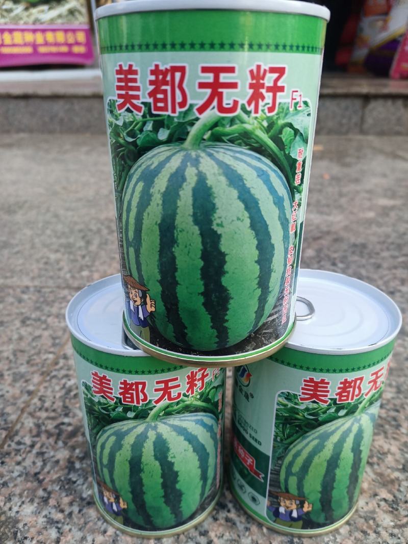 西瓜种子美都无籽免嫁接抗重茬皮韧抗裂大红瓤高糖个大