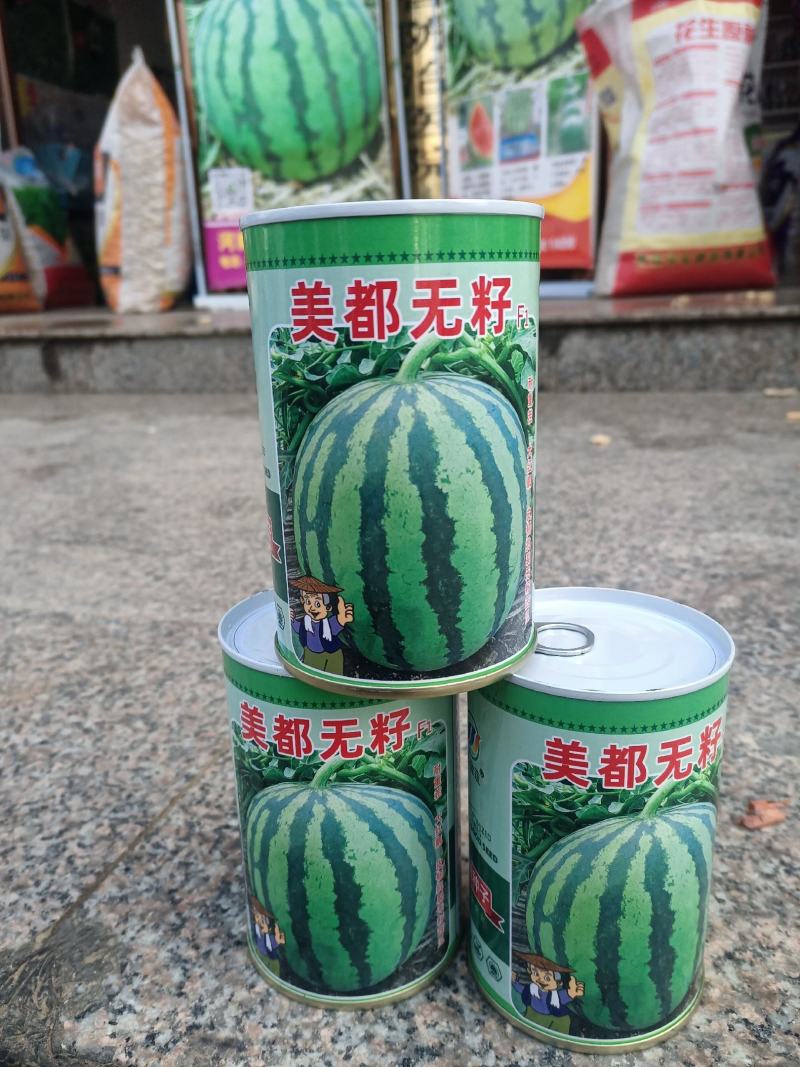 西瓜种子美都无籽免嫁接抗重茬皮韧抗裂大红瓤高糖个大