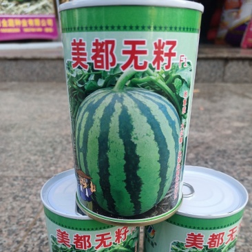 西瓜种子美都无籽免嫁接抗重茬皮韧抗裂大红瓤高糖个大