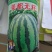 西瓜种子美都无籽免嫁接抗重茬皮韧抗裂大红瓤高糖个大
