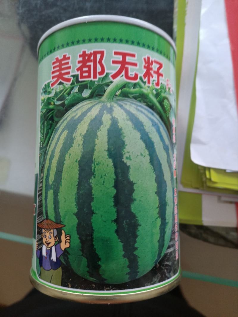 西瓜种子美都无籽免嫁接抗重茬皮韧抗裂大红瓤高糖个大