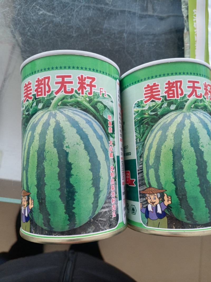 西瓜种子美都无籽免嫁接抗重茬皮韧抗裂大红瓤高糖个大