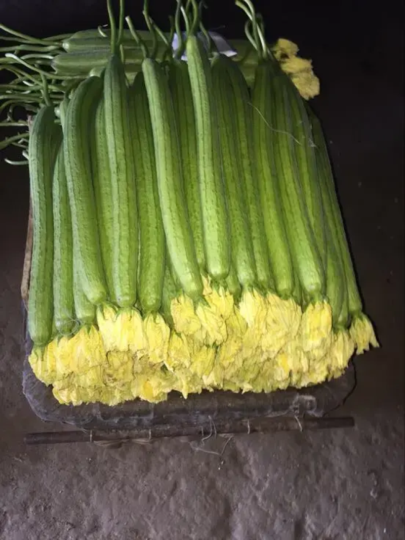 寿光鲜花丝瓜产地实力代收供应超市档口超市食堂