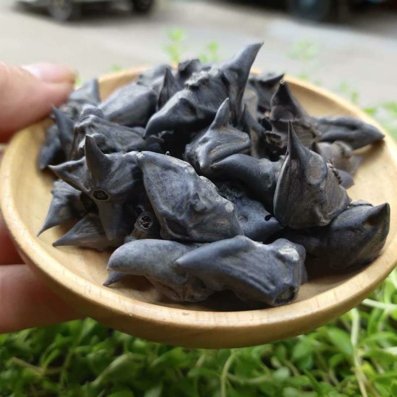 铁菱角干货鬼见愁冷背中药材欢迎选购！量大从优！