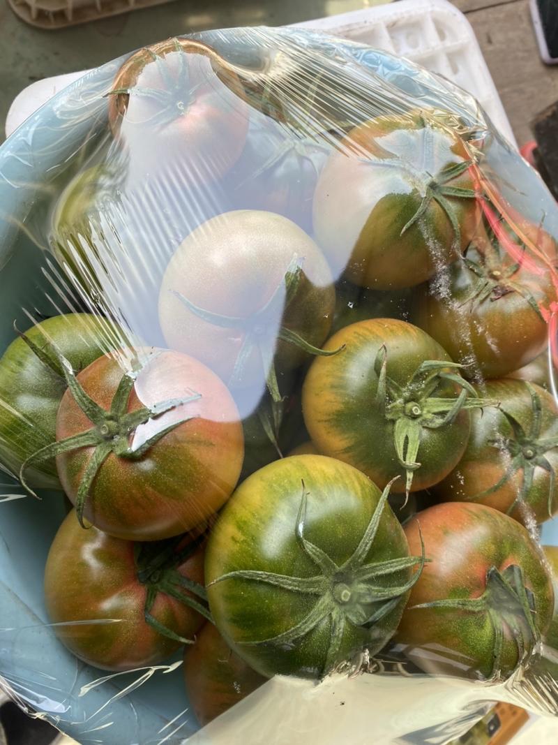 莱西大果口感西红柿，市场认可，可青红两卖，欢迎咨询！