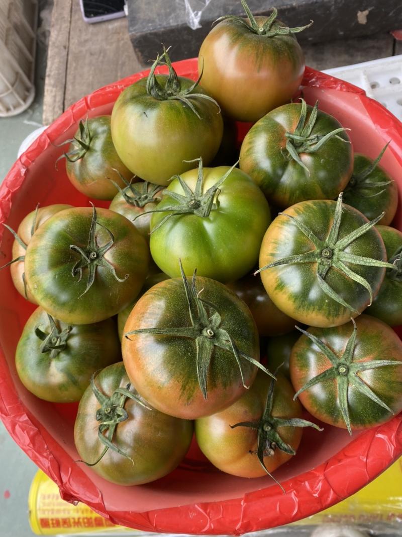 莱西大果口感西红柿，市场认可，可青红两卖，欢迎咨询！