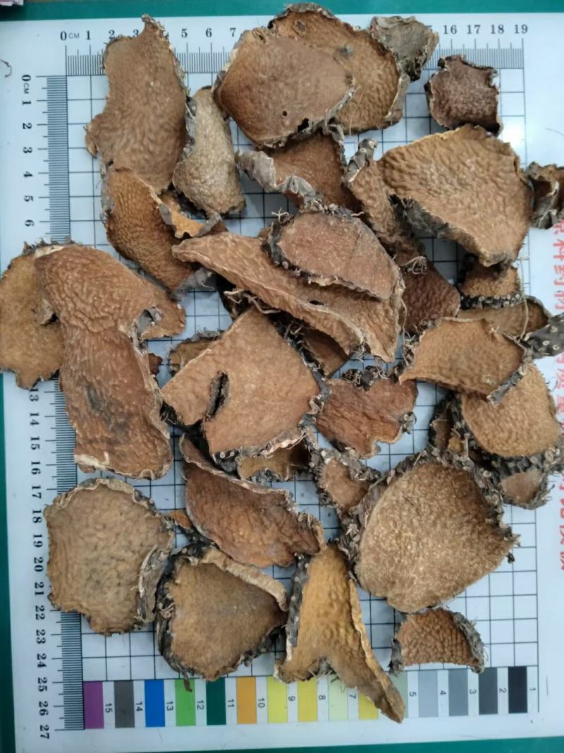 黄药子干货切片黄药子中药材欢迎选购！量大从优！