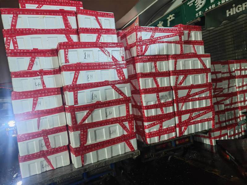 花甲，鲜活，大量批发，协助找车，一件代发，支持电商，现货