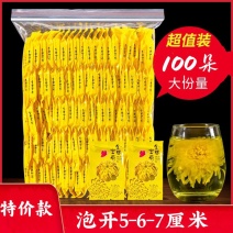清热解火金丝皇菊一包100朵独立包装抛开硕大批发零售