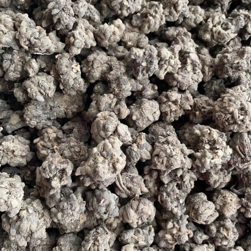 批发零售中药材猫爪草新货量大从优一件代发