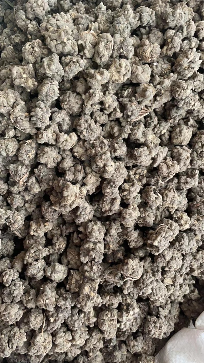 批发零售中药材猫爪草新货量大从优一件代发