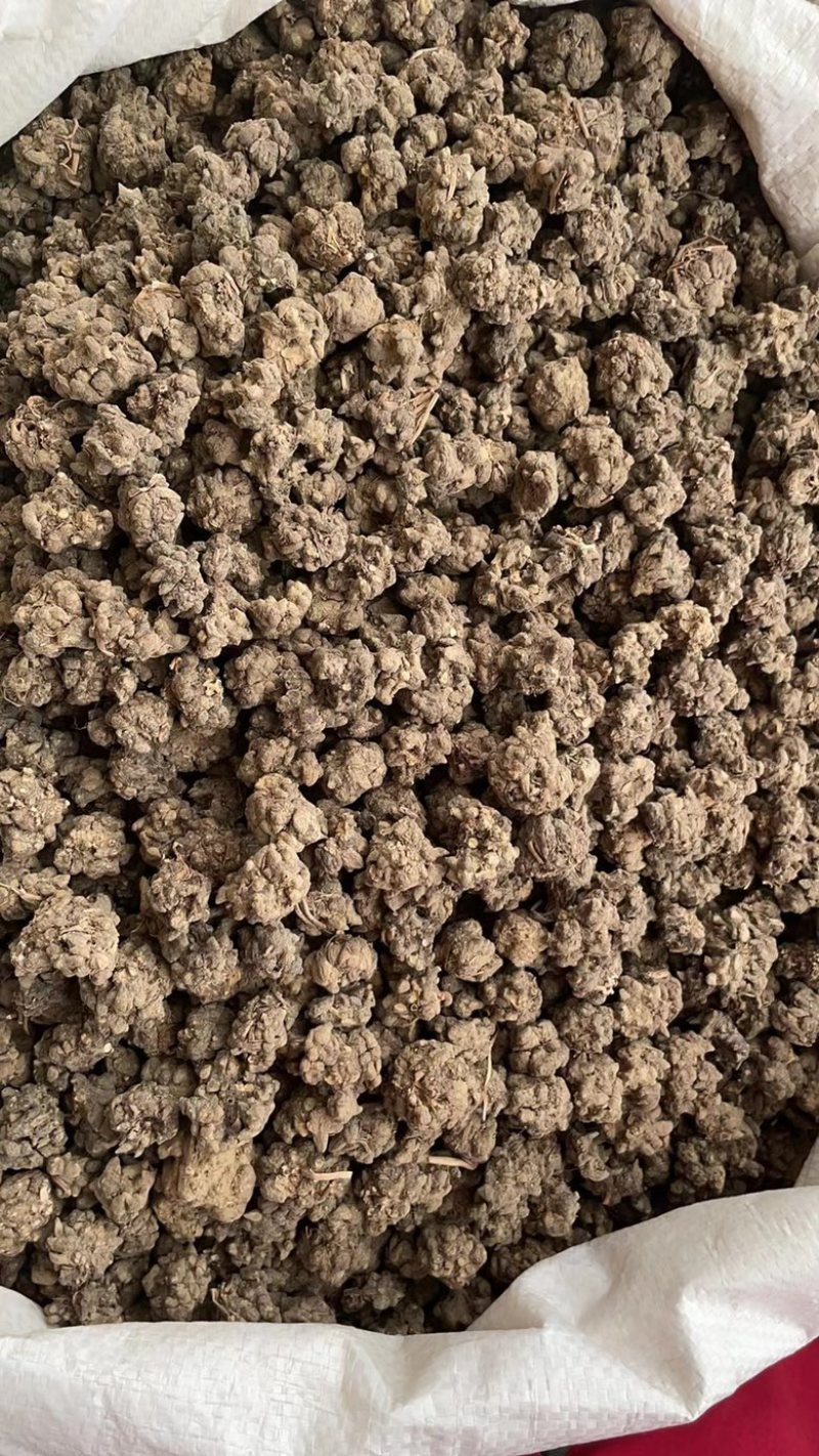 批发零售中药材猫爪草新货量大从优一件代发