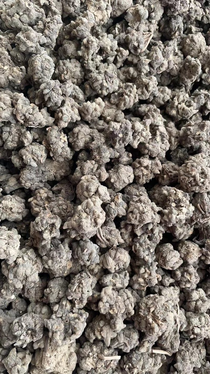 批发零售中药材猫爪草新货量大从优一件代发