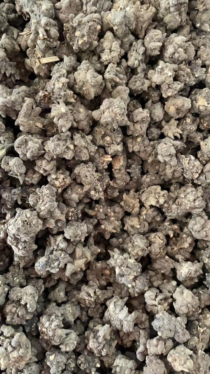 批发零售中药材猫爪草新货量大从优一件代发