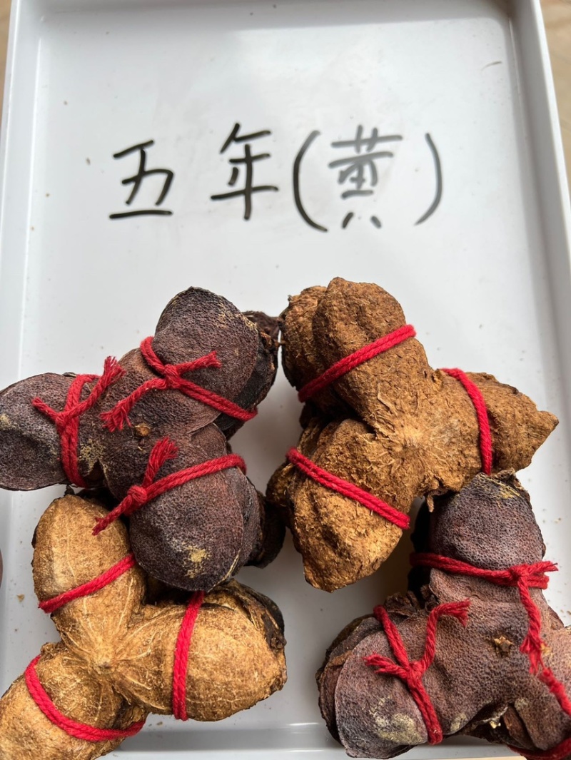 新会陈皮老陈皮5年10年十五年干仓陈皮批发